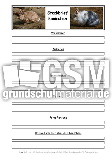 Kaninchen-Steckbriefvorlage.pdf